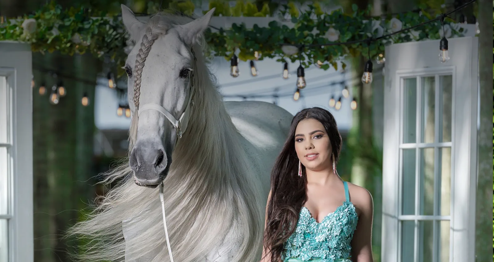 Photogenic Horses