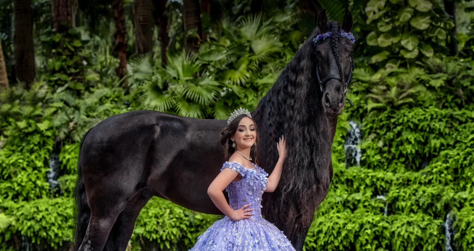 Create Unique Memories With Our Horses