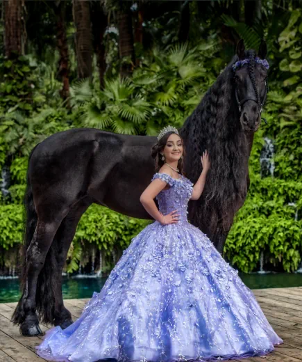 Create Unique Memories With Our Horses