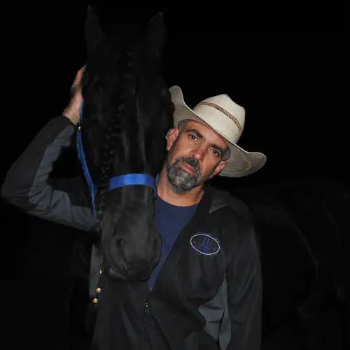 Miami Dream Horses