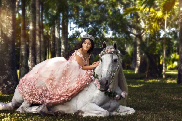 Miami Dream Horses