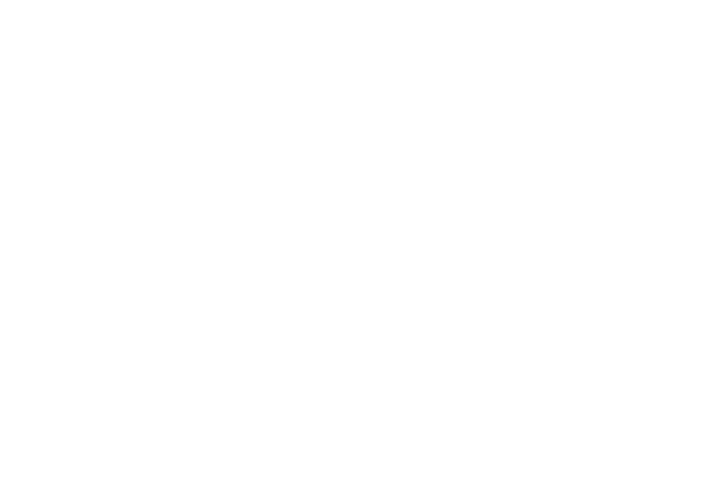 Miami Dream Horses