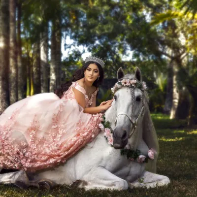 Miami Dream Horses