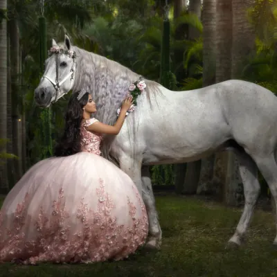 Miami Dream Horses