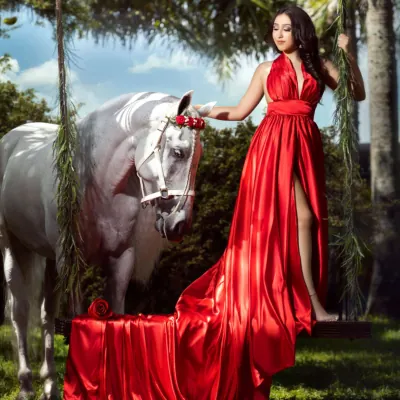 Miami Dream Horses