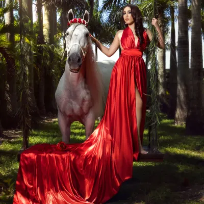 Miami Dream Horses