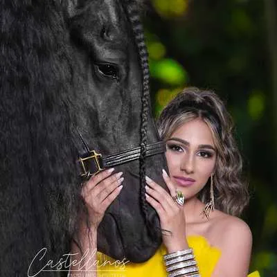Miami Dream Horses