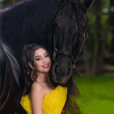 Miami Dream Horses