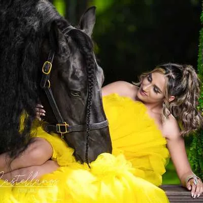 Miami Dream Horses