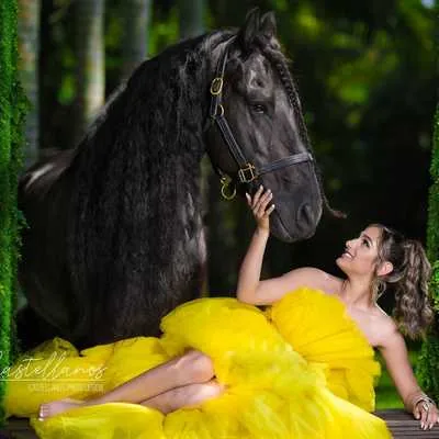 Miami Dream Horses