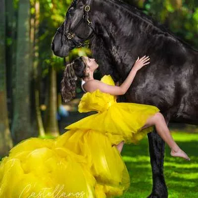 Miami Dream Horses