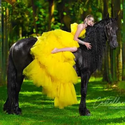 Miami Dream Horses