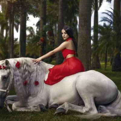 Miami Dream Horses