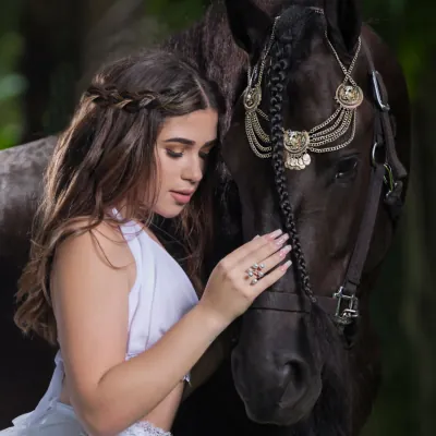 Miami Dream Horses