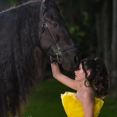 Miami Dream Horses