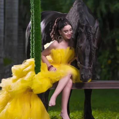 Miami Dream Horses