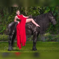 Miami Dream Horses