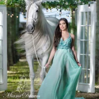Miami Dream Horses