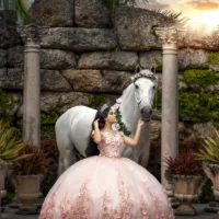 Miami Dream Horses