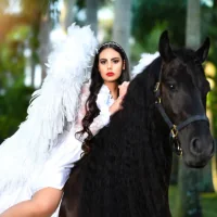 Miami Dream Horses