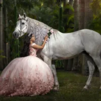 Miami Dream Horses