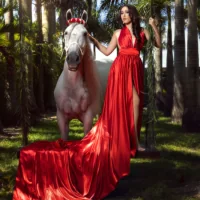 Miami Dream Horses