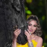 Miami Dream Horses