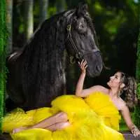 Miami Dream Horses