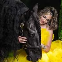 Miami Dream Horses