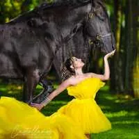 Miami Dream Horses