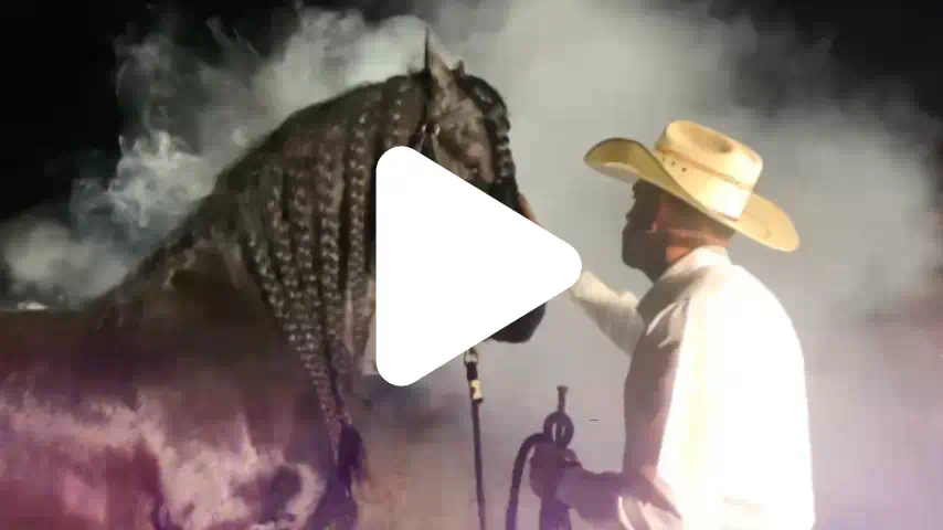 video1