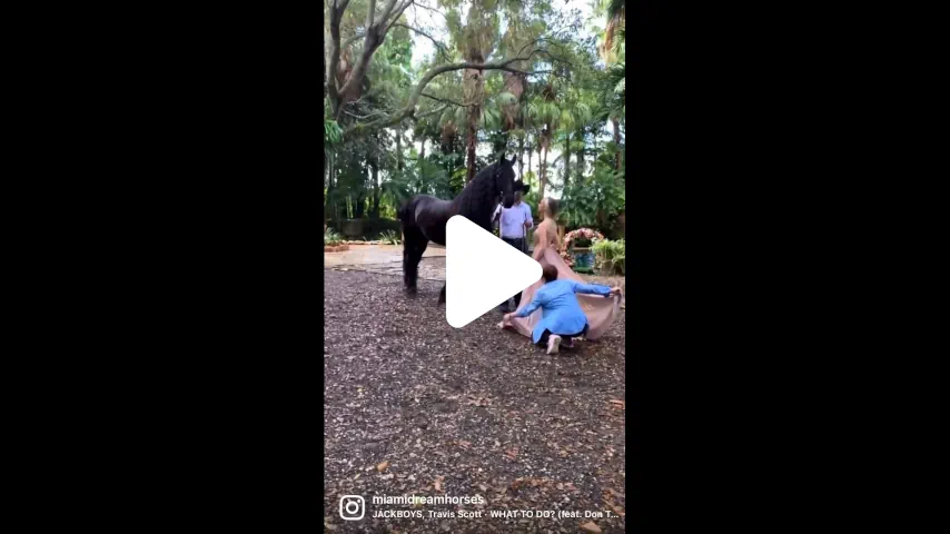 video2