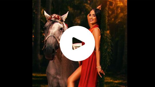 video4